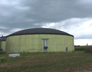 Einkommen aus Biogasanlage