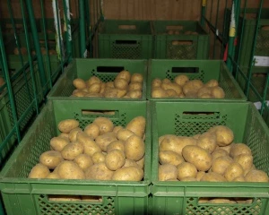 Kartoffelanbau 2022