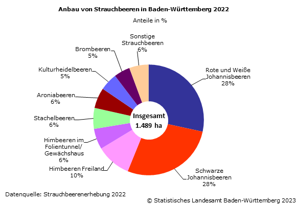 Beerenanbau in Baden-Württremberg 2022