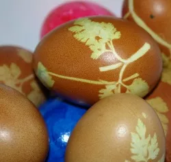 Resteverwertung Eier