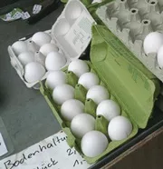 Hohe Eierpreise