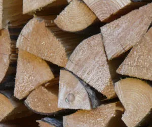 Kampf gegen Holzdiebstahl