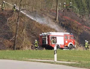 Waldbrand in Sachsen-Anhalt