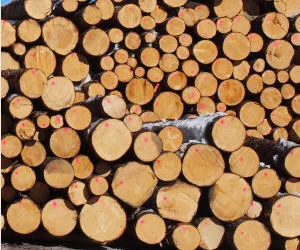 Holzvermarktung
