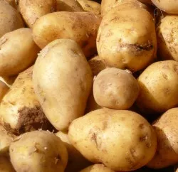 Kartoffelmarkt Russland