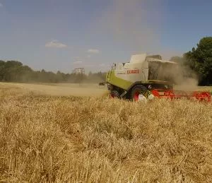 Getreideernte 2017