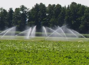 Wassereinsatz in der Landwirtschaft