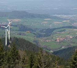 Windkraftanlagen im Wald