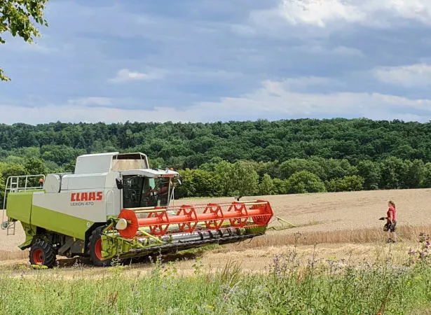 Getreideernte in NRW 2021