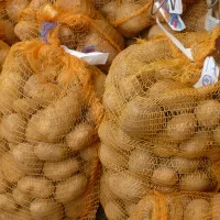 Inhaltsstoffe Kartoffel