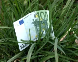 Proplanta 100 Euro im Gras5.JPG