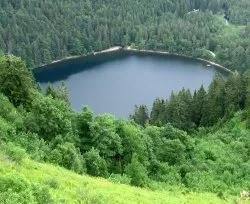 Schwarzwald Biosphrenreservat 