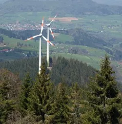 Keine Windenergie aus dem Wald?
