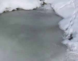 Zugefrorener Teich