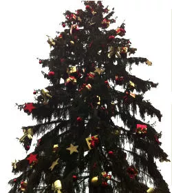 Riesiger Weihnachtsbaum