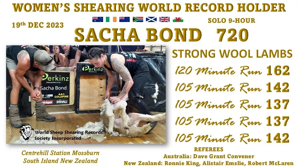 Schafschur Weltrekord