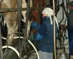 Milchbauern erhalten Untersttzung