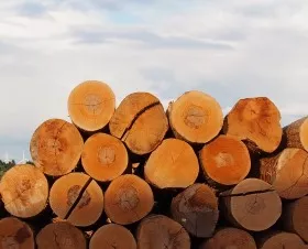 Steigende Holzpreise 