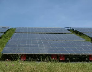 Solarmodule in Brandenburg wieder sicher