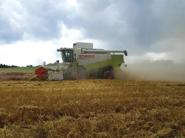 Getreideernte in Sachsen 2022