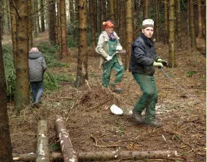 Ausbildung zum Forstwirt