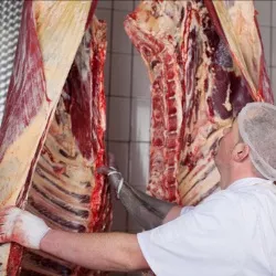 Fleischerzeugung Bayern