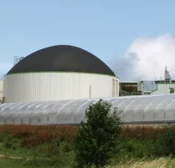 Biogas-Innovationskongress
