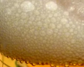 Glyphosat in Bier