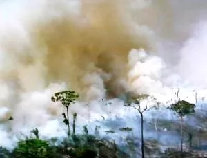 Brnde Abholzung Amazonas