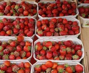Erdbeerpreise im Sdwesten