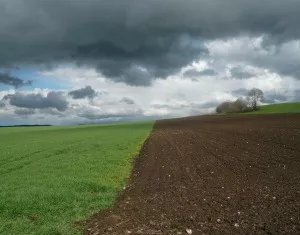 Landwirtschaft Mecklenburg-Vorpommern
