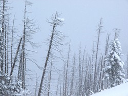 03. Februar 2012: Strenger Frost auf der Zugspitze