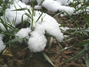 06. Juni 2012: Kältewelle in Argentinien