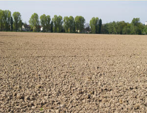 Agrarland kaufen Rumänien