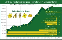 Anbau nachwachsender Rohstoffe 2010