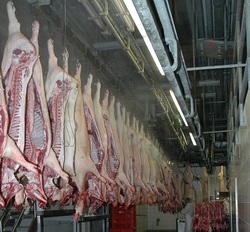 Ausfuhrberschuss bei Schweinefleisch erneut gestiegen