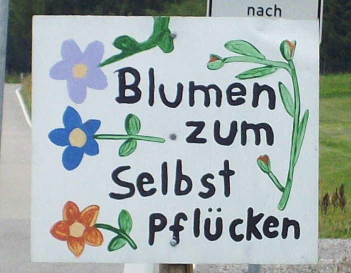 Blumen selber pflücken - Leonberg