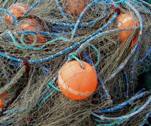 EU-Fischfangmengen 2023
