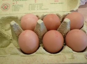 Eierproduktion Sachsen