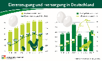 Eierzeugung und -versorgung in Deutschland