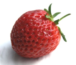 Erdbeeren selber pflücken Buxtehude