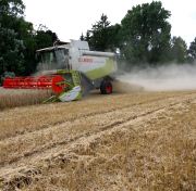 Ernteschätzung Getreide 2012 - Schleswig-Holstein