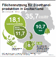 Flchennutzung fr Bioethanolproduktion in Deutschland