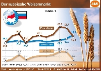 Getreidemarkt Russland 2000 - 2010
