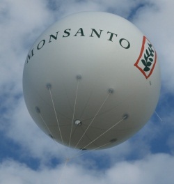 Glyphosat-Studien Monsanto