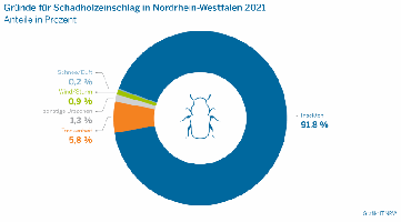 Grnde fr Schadholzeinschlag in NRW 2021