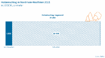 Holzeinschlag in NRW 2021