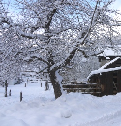 Januar und Februar 2012: Kältewelle in Bulgarien