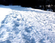 Januar und Februar 2012: Schneemassen in Serbien