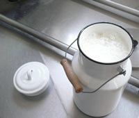 Keinen Tropfen verschüttet: Diebe stehlen 1.600 Liter Milch